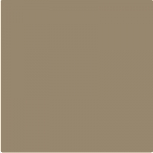 Dark beige