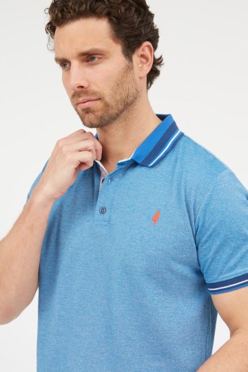 Short sleeves polo in pin point